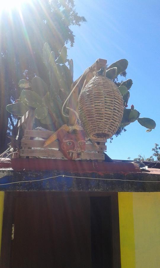 Hostal Nahui Ollin San Cristóbal de Las Casas Zewnętrze zdjęcie