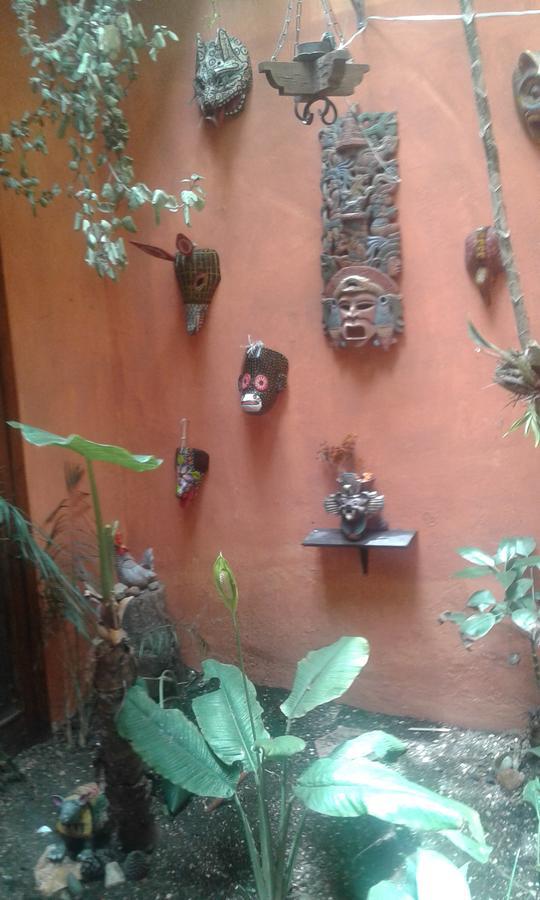 Hostal Nahui Ollin San Cristóbal de Las Casas Zewnętrze zdjęcie