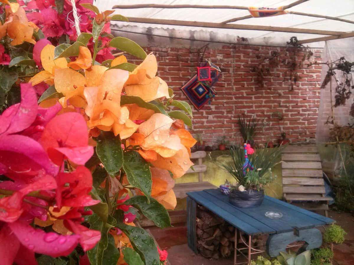 Hostal Nahui Ollin San Cristóbal de Las Casas Zewnętrze zdjęcie